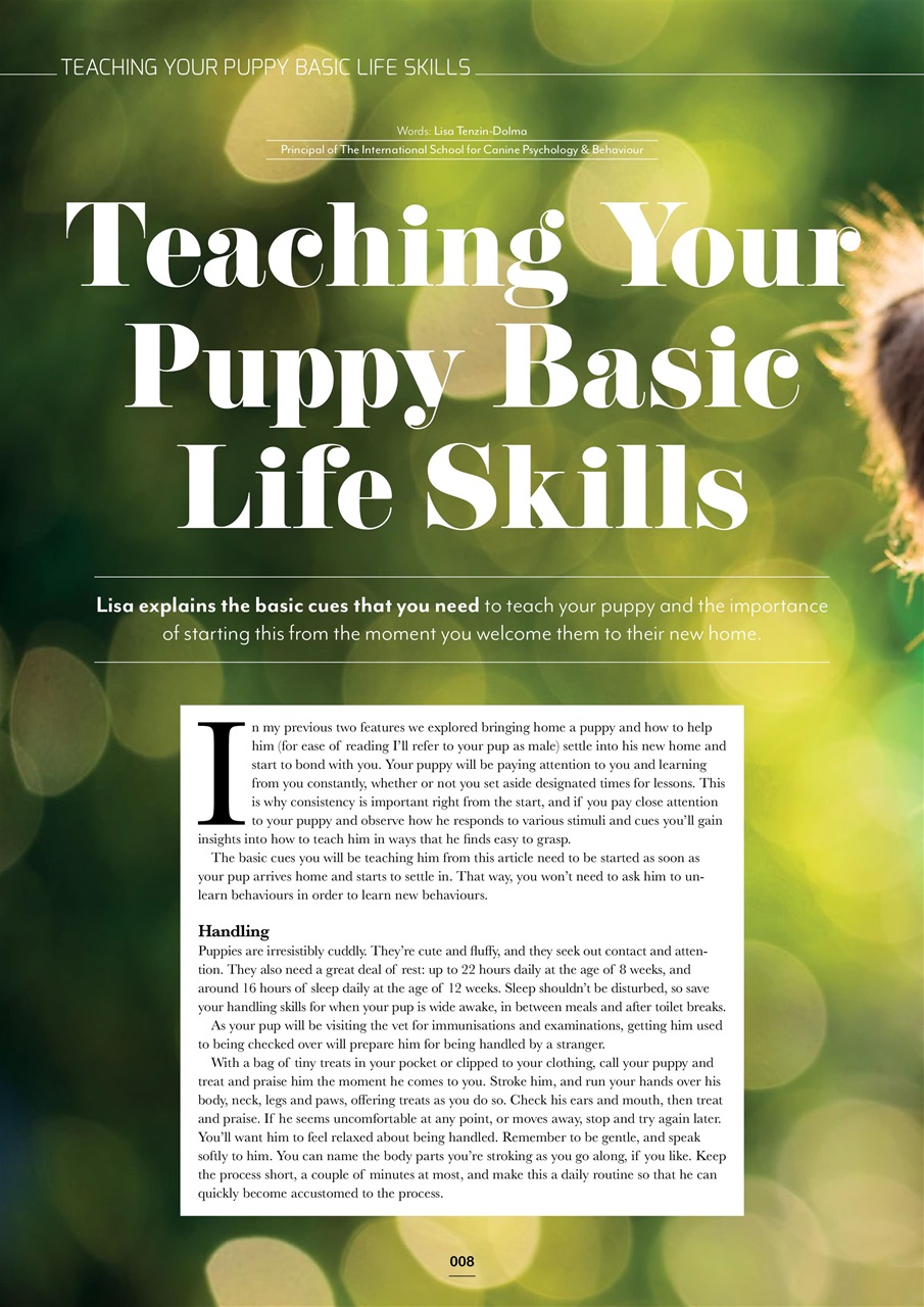 Edition Dog Preview Pages