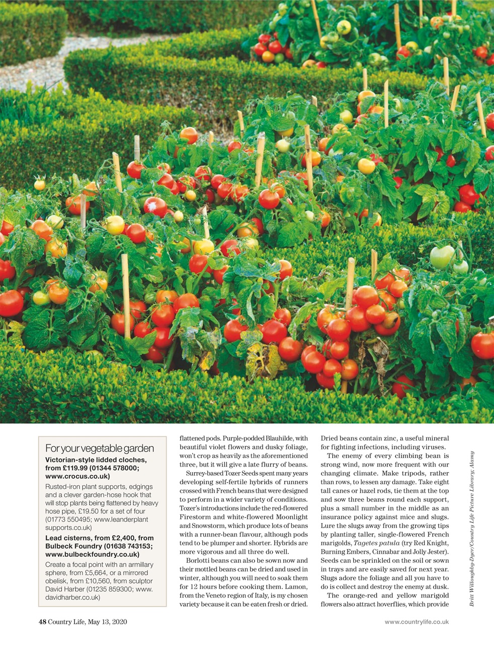 Country Life Preview Pages