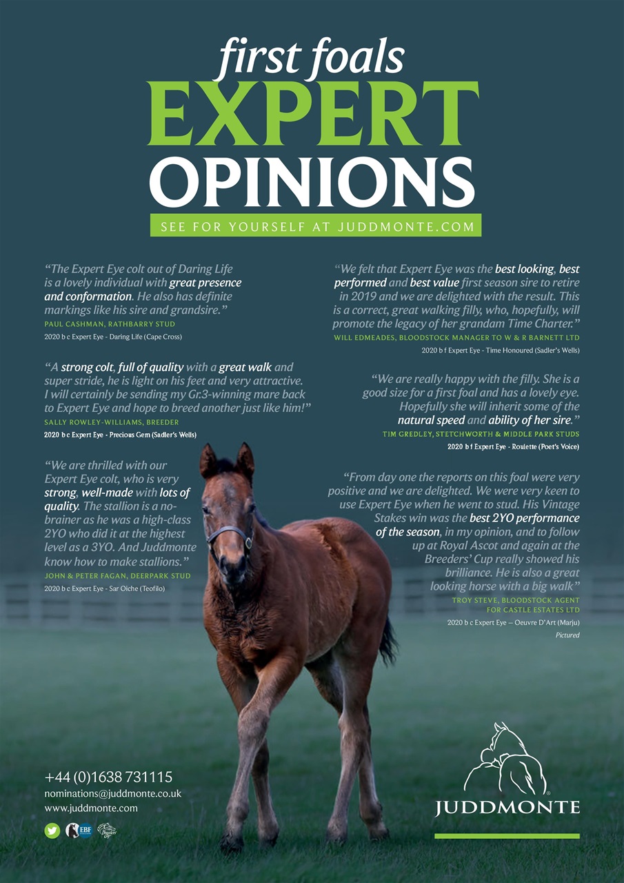 The Owner Breeder Preview Pages