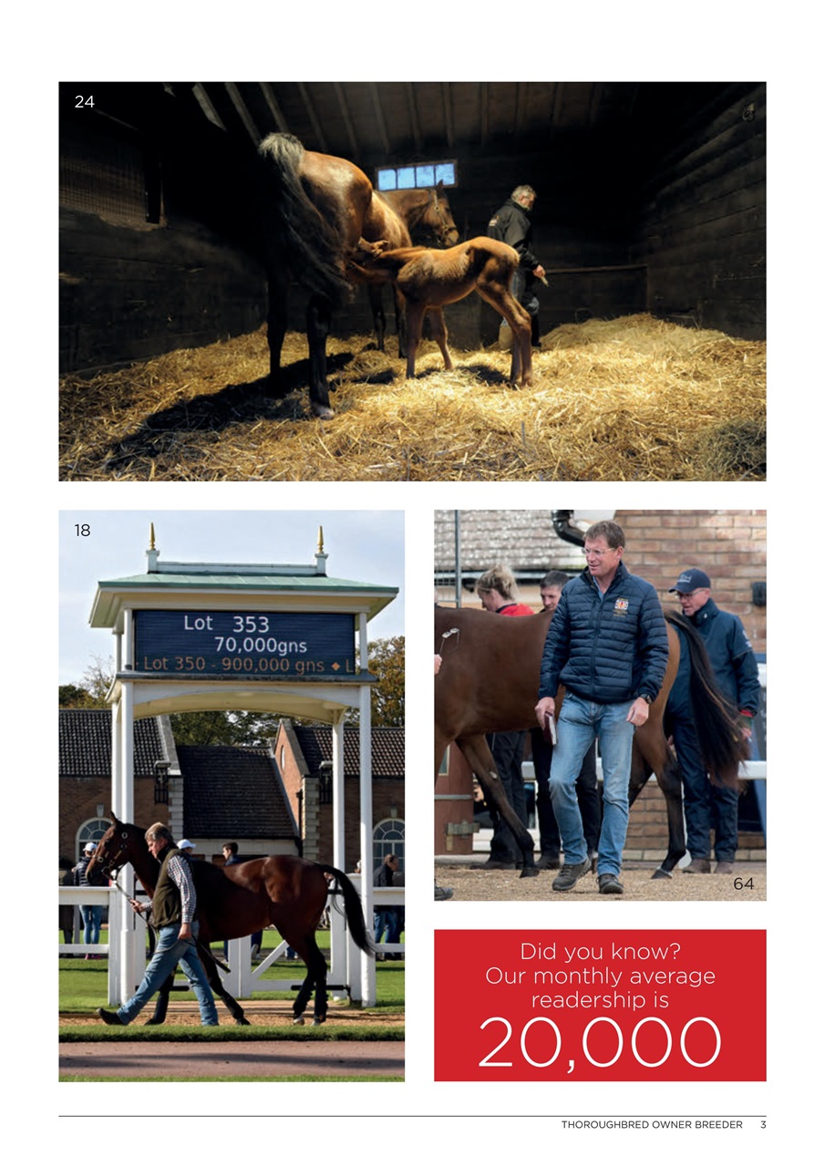 The Owner Breeder Preview Pages