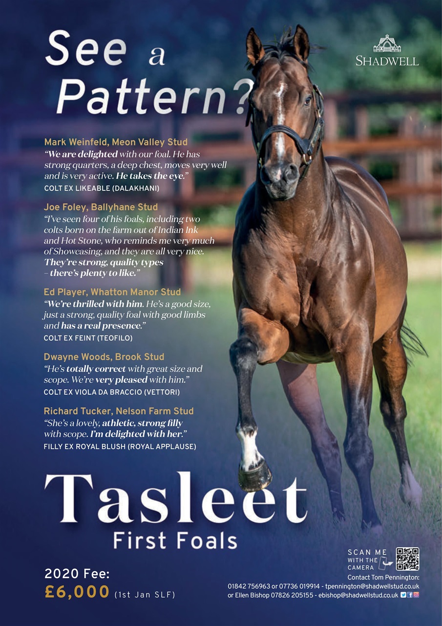 The Owner Breeder Preview Pages