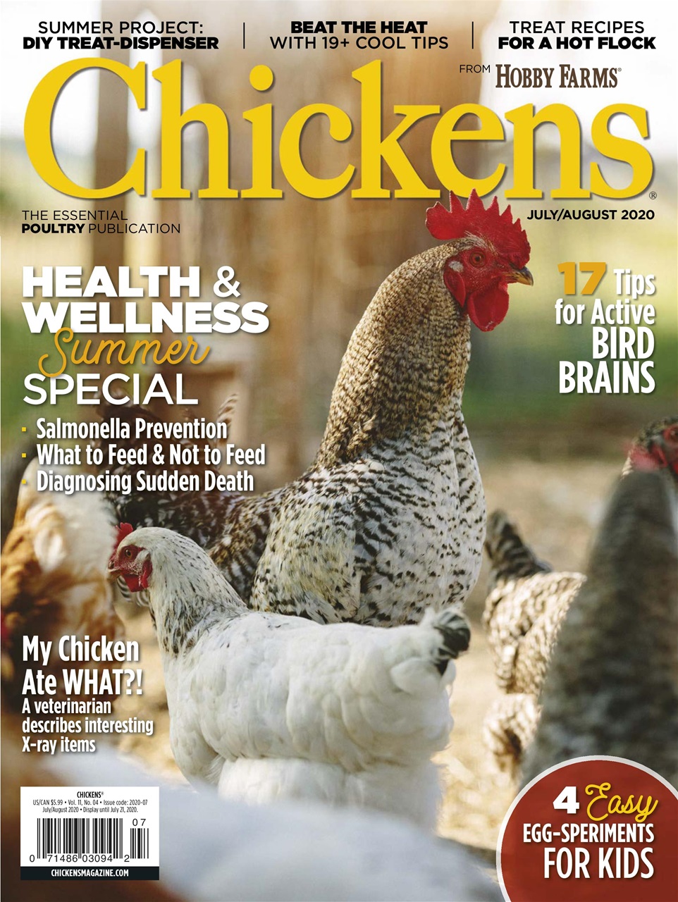 Chickens Magazine Preview Pages