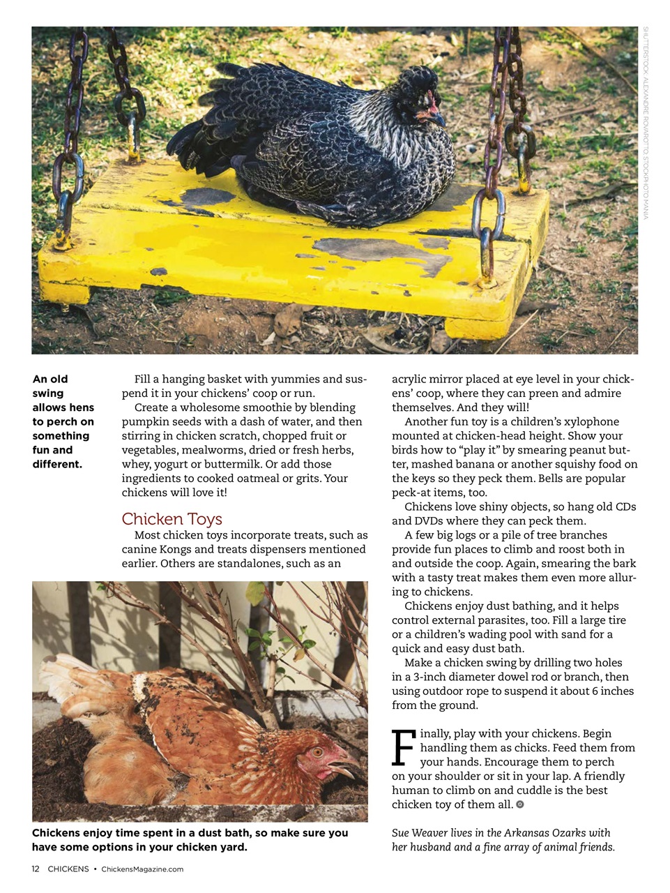 Chickens Magazine Preview Pages