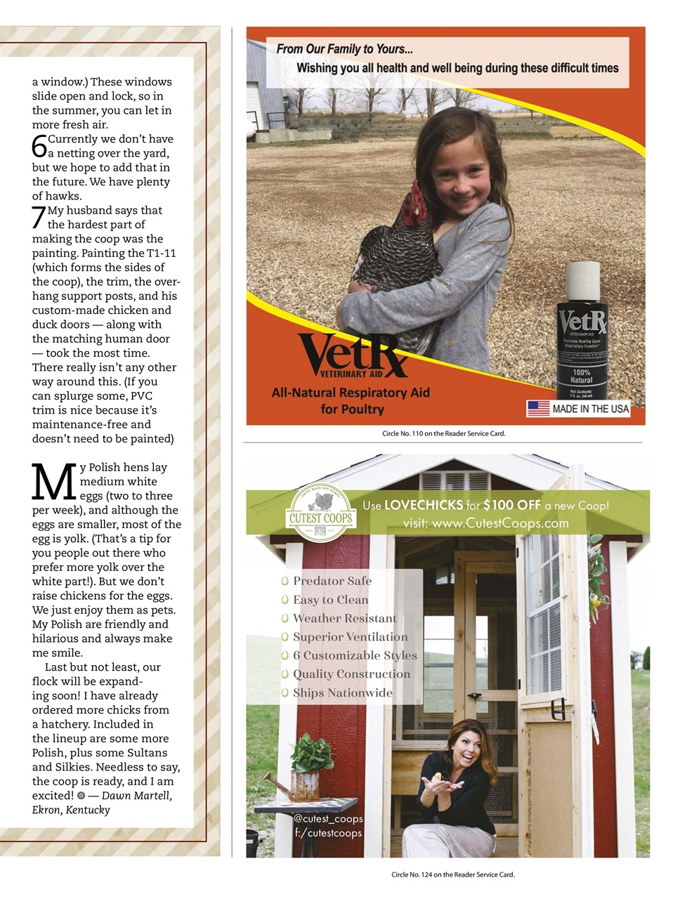 Chickens Magazine Preview Pages