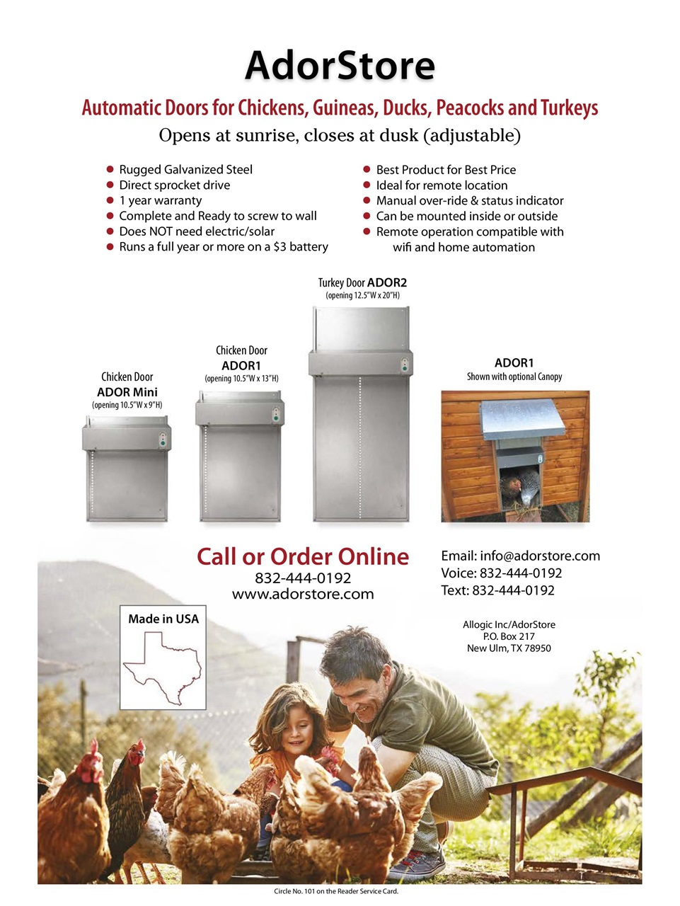 Chickens Magazine Preview Pages