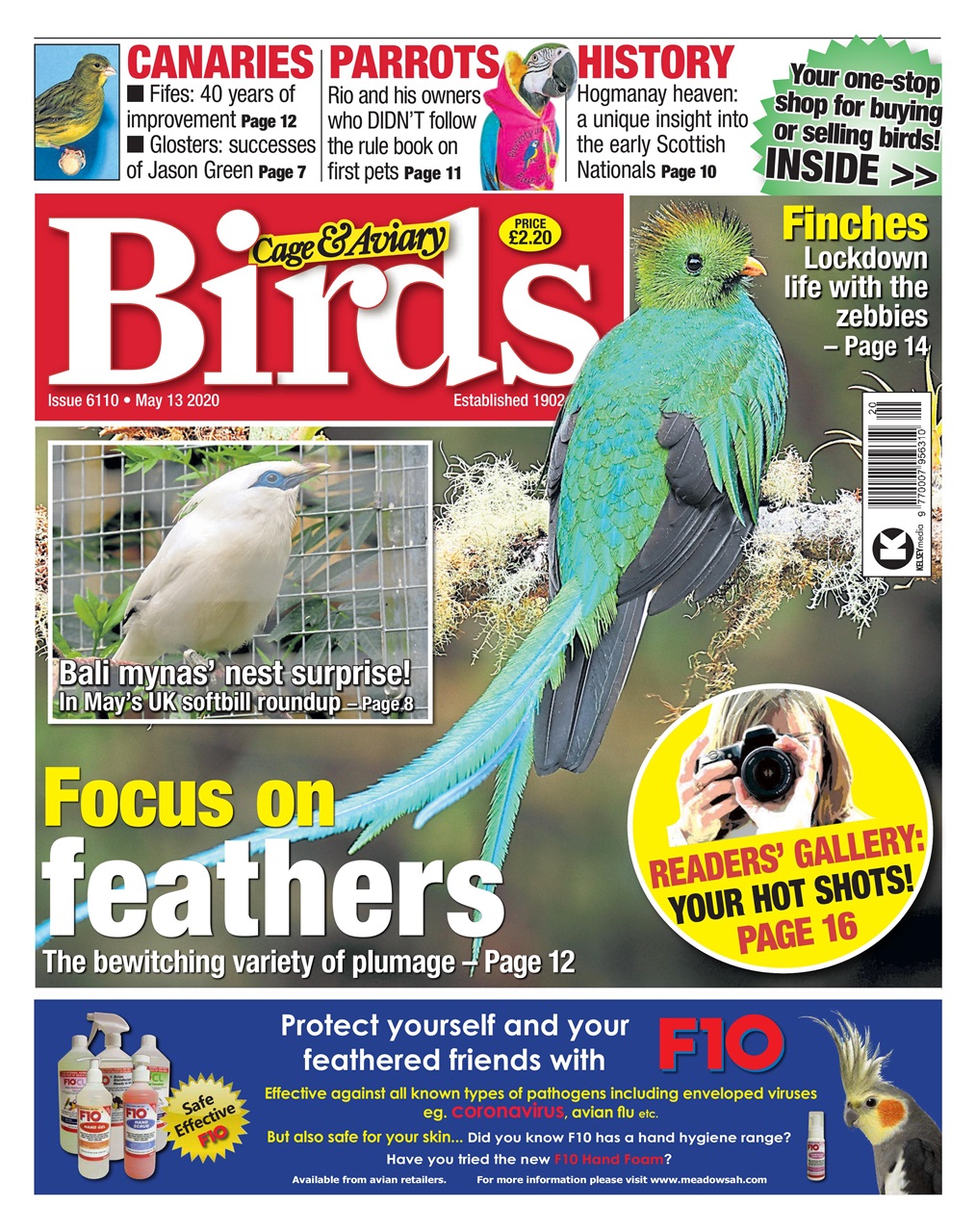 Cage & Aviary Birds Preview Pages