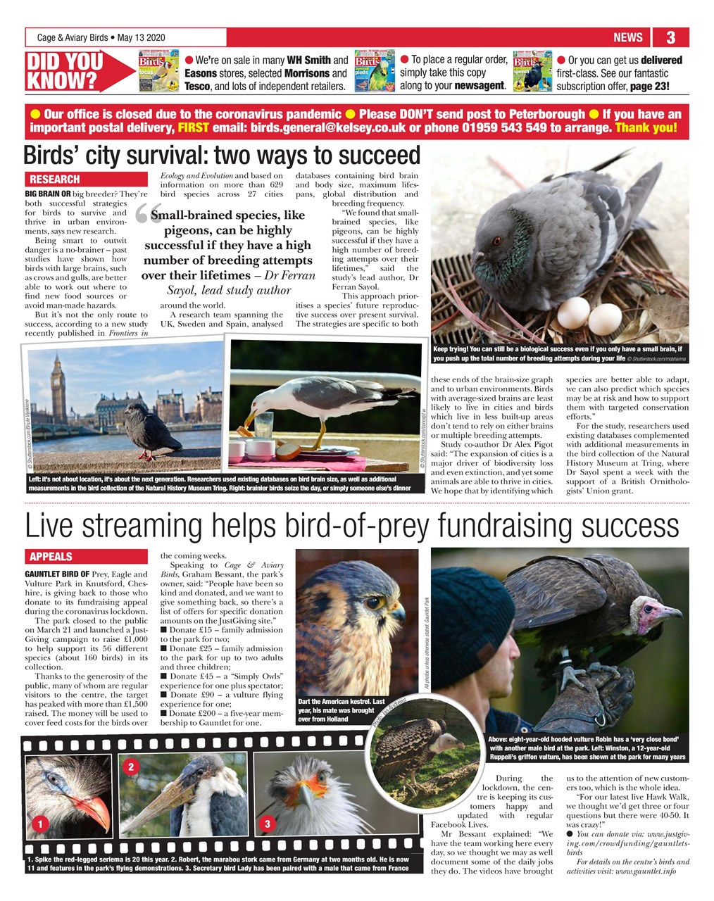 Cage & Aviary Birds Preview Pages