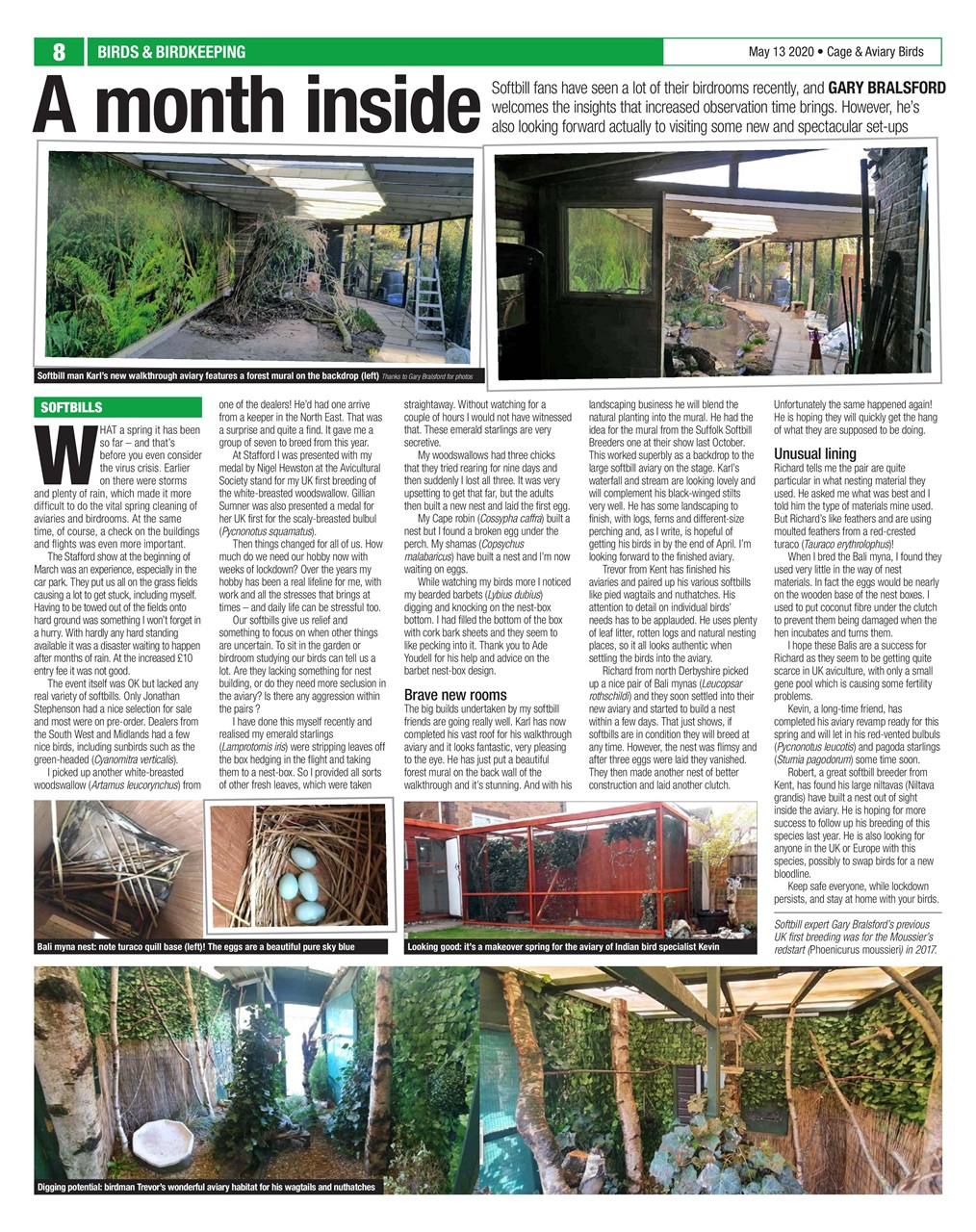 Cage & Aviary Birds Preview Pages