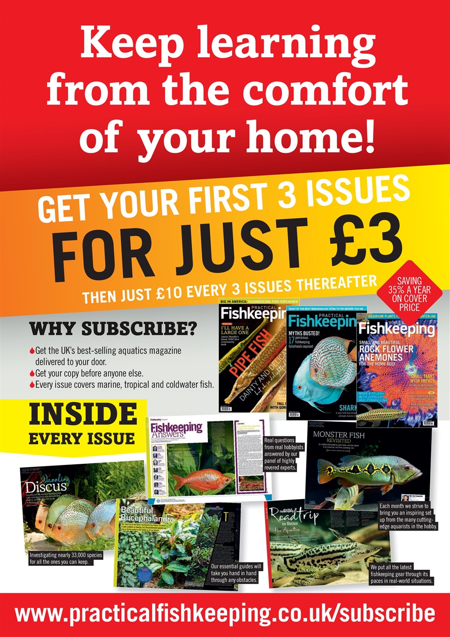 Practical Fishkeeping Preview Pages