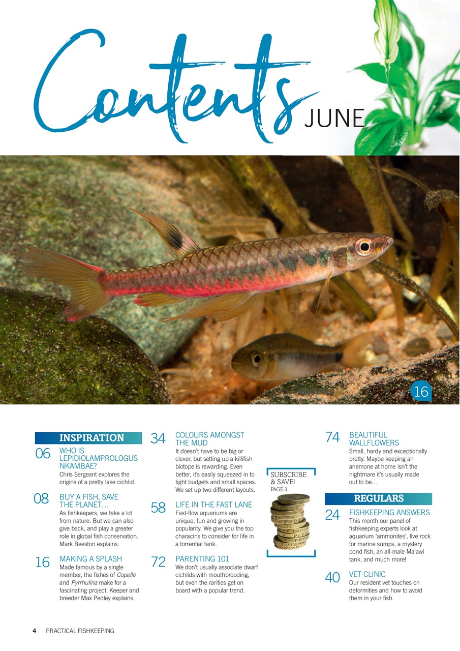 Practical Fishkeeping Preview Pages