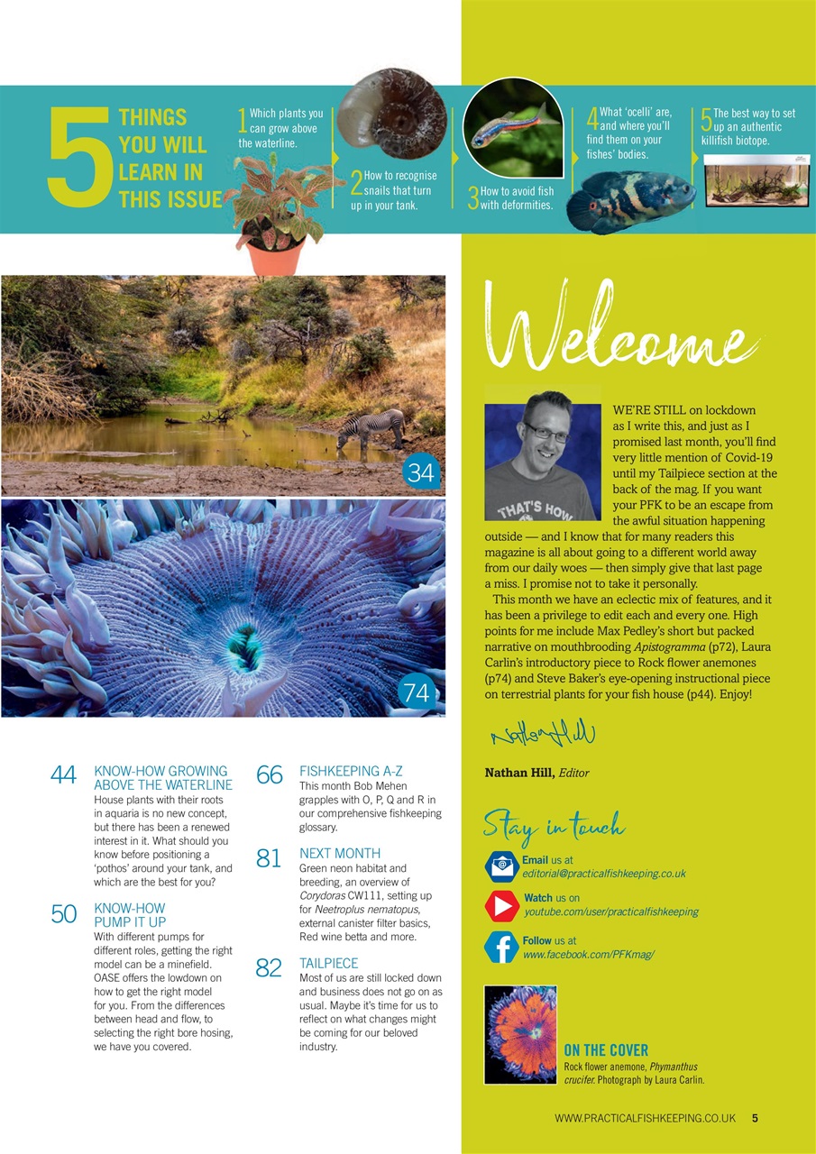 Practical Fishkeeping Preview Pages