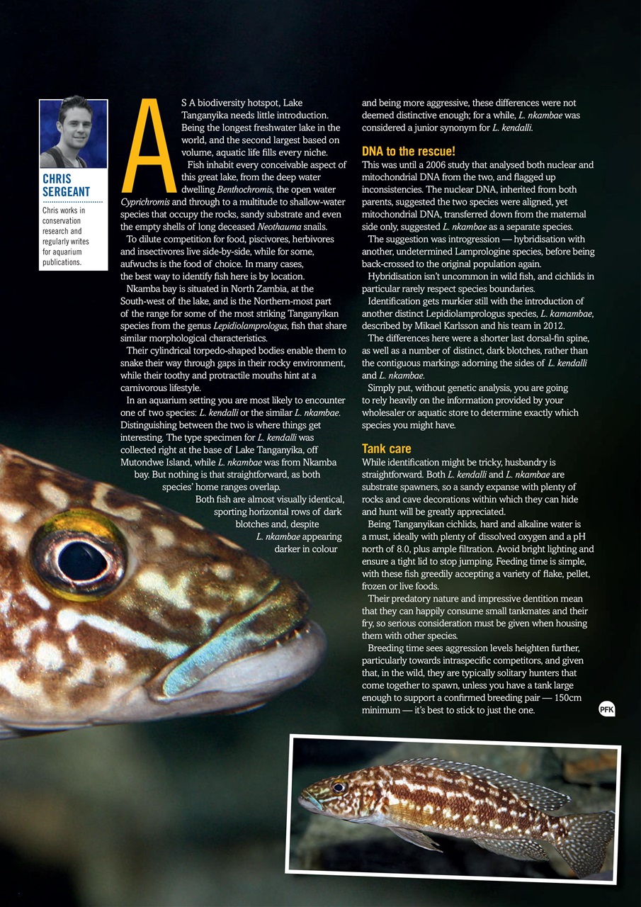 Practical Fishkeeping Preview Pages
