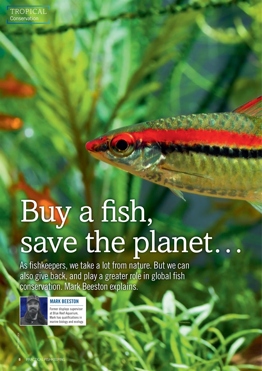 Practical Fishkeeping Preview Pages