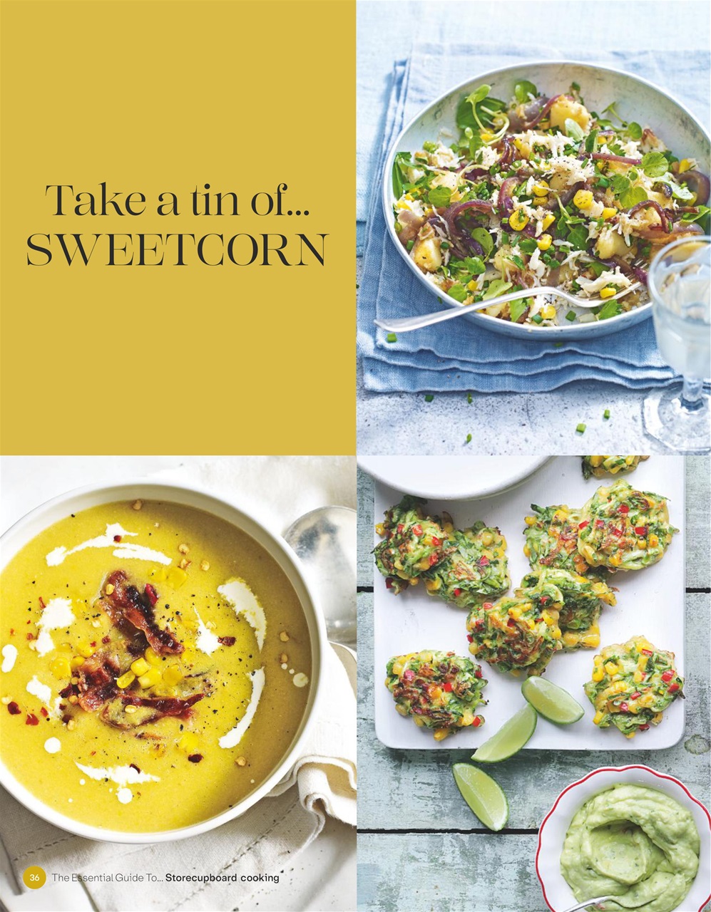 The Essential Guide To... Preview Pages