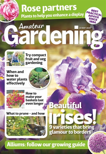Amateur Gardening issue 