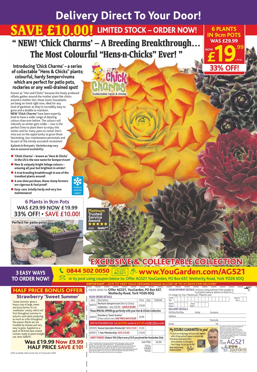 Amateur Gardening Preview Pages