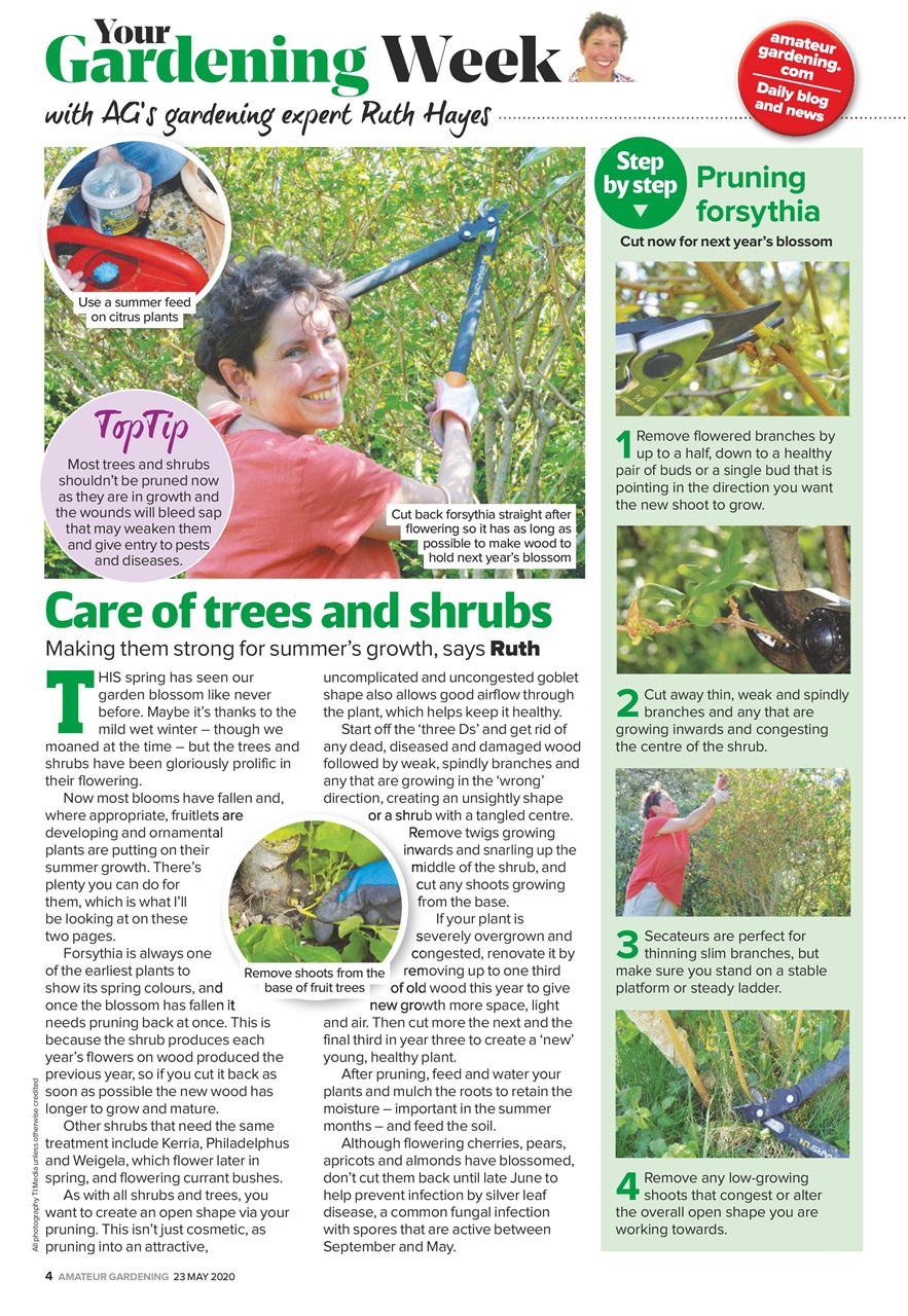Amateur Gardening Preview Pages