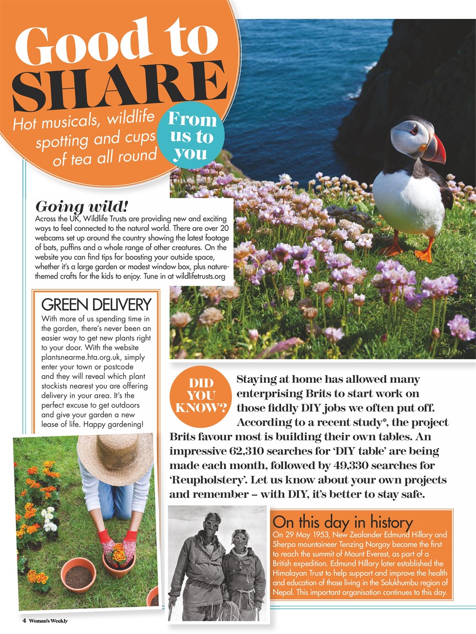 Woman's Weekly Preview Pages