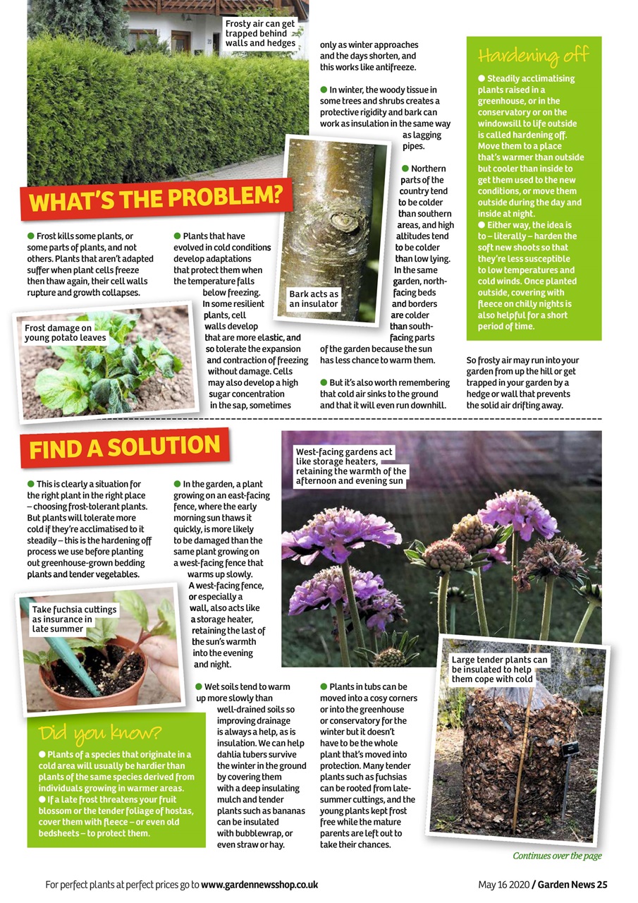 Garden News Preview Pages