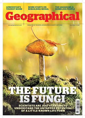 Geographical issue June 2020