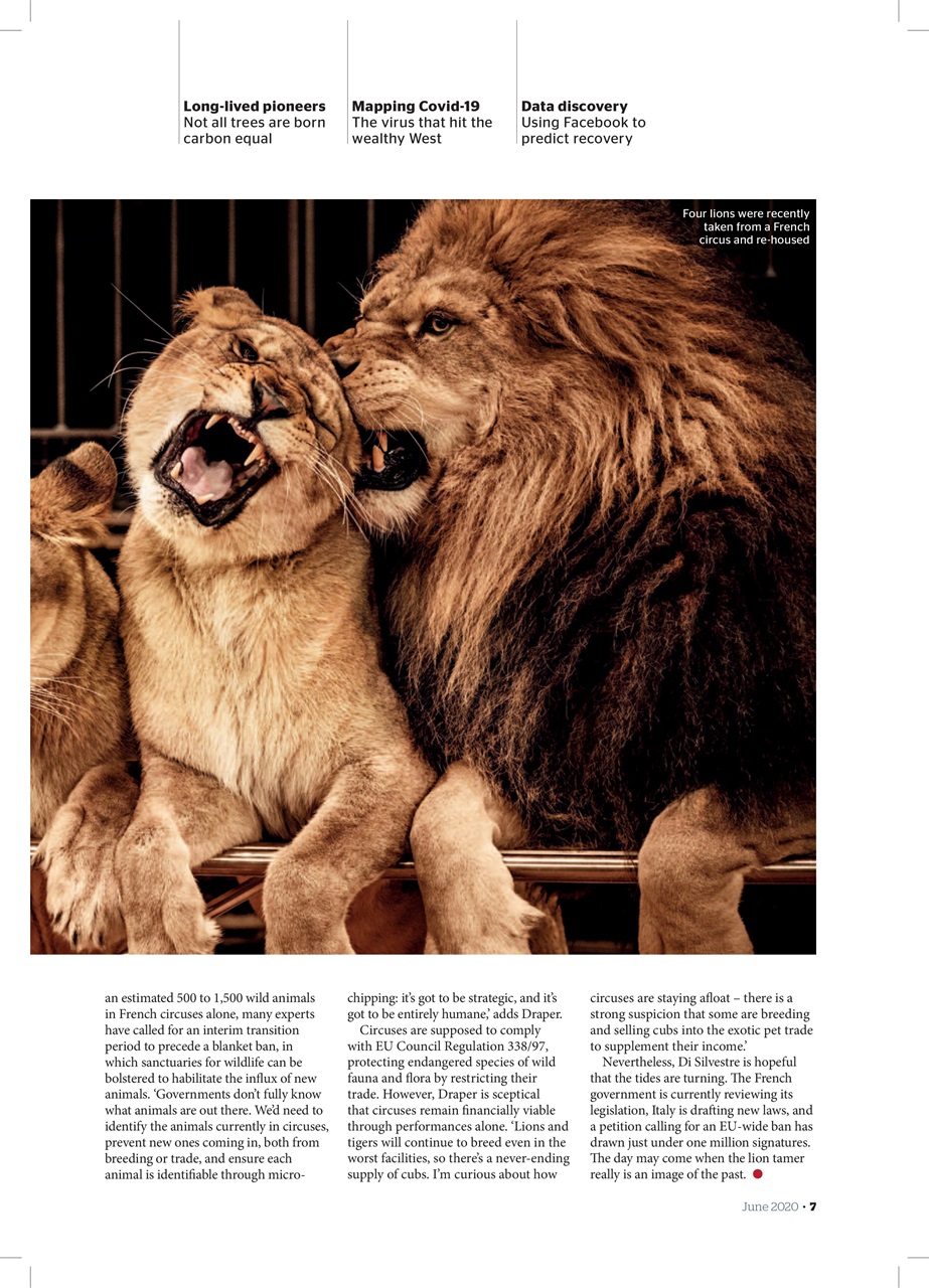 Geographical Preview Pages