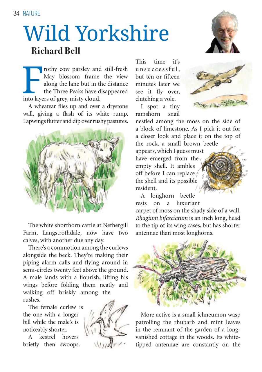 The Yorkshire Dalesman Preview Pages