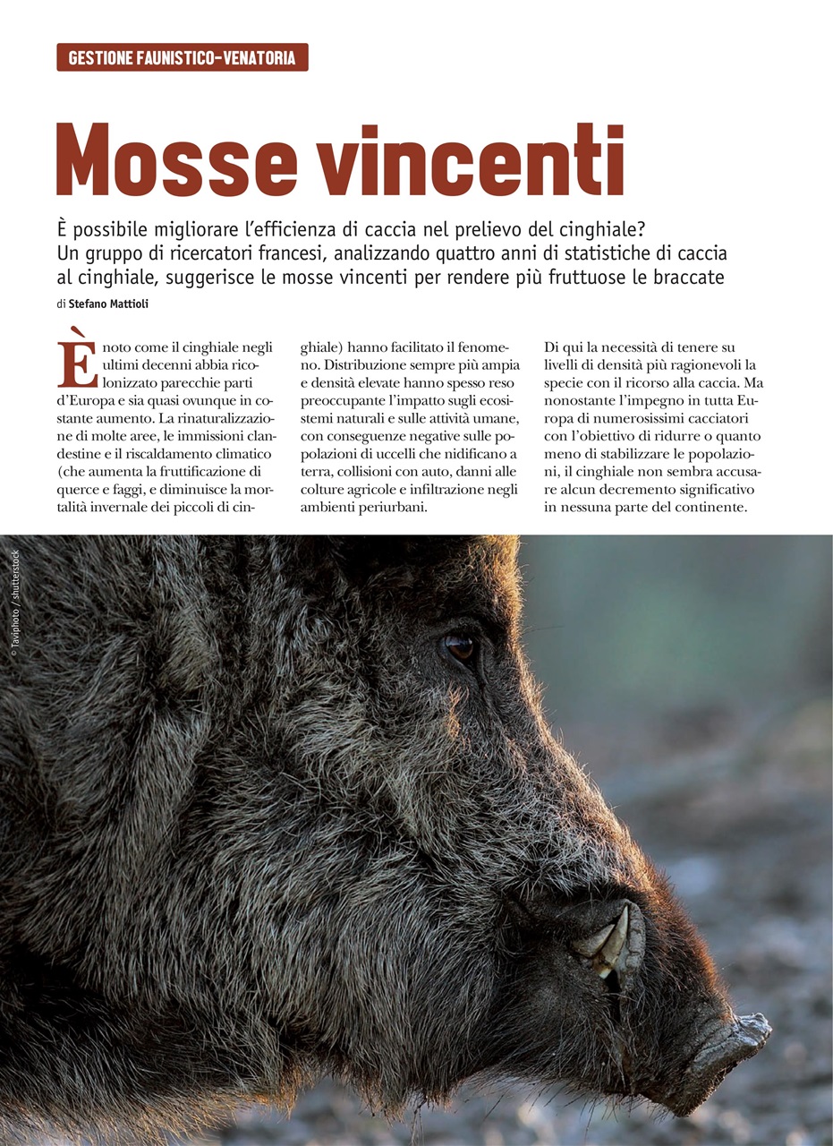 SENTIERI DI CACCIA Preview Pages