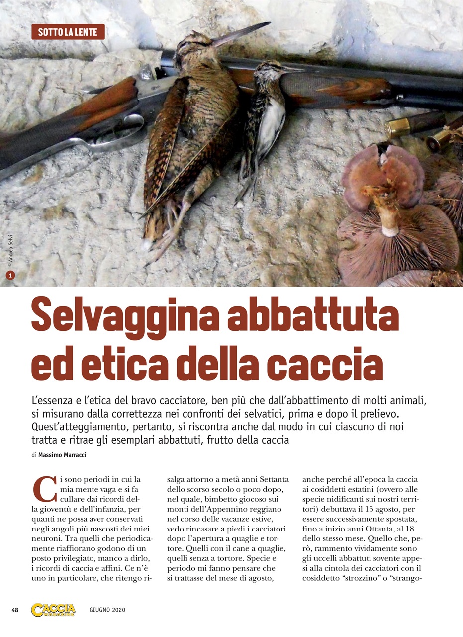 SENTIERI DI CACCIA Preview Pages