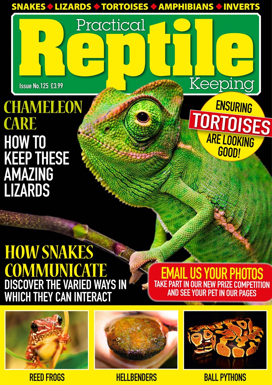 Practical Reptile Keeping Preview Pages