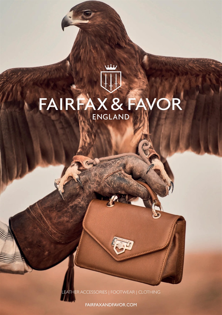 The Lady Preview Pages