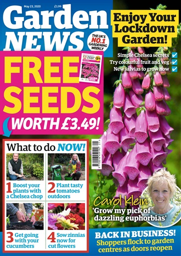 Garden News issue 