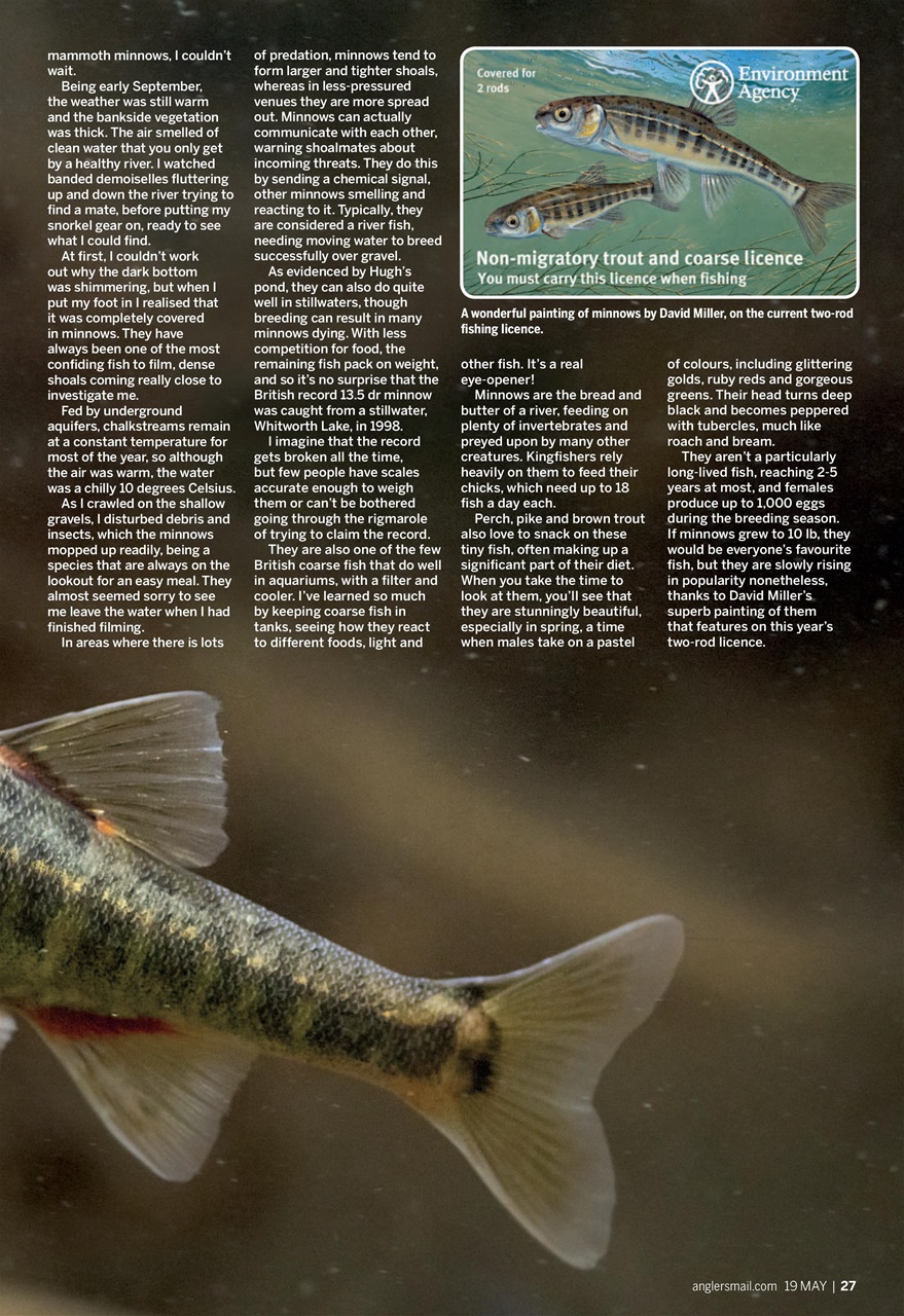 Anglers Mail Preview Pages