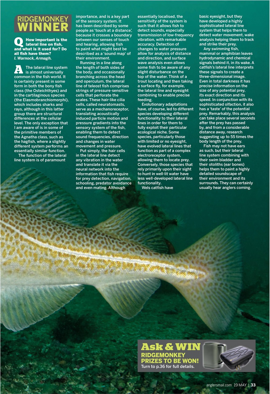 Anglers Mail Preview Pages