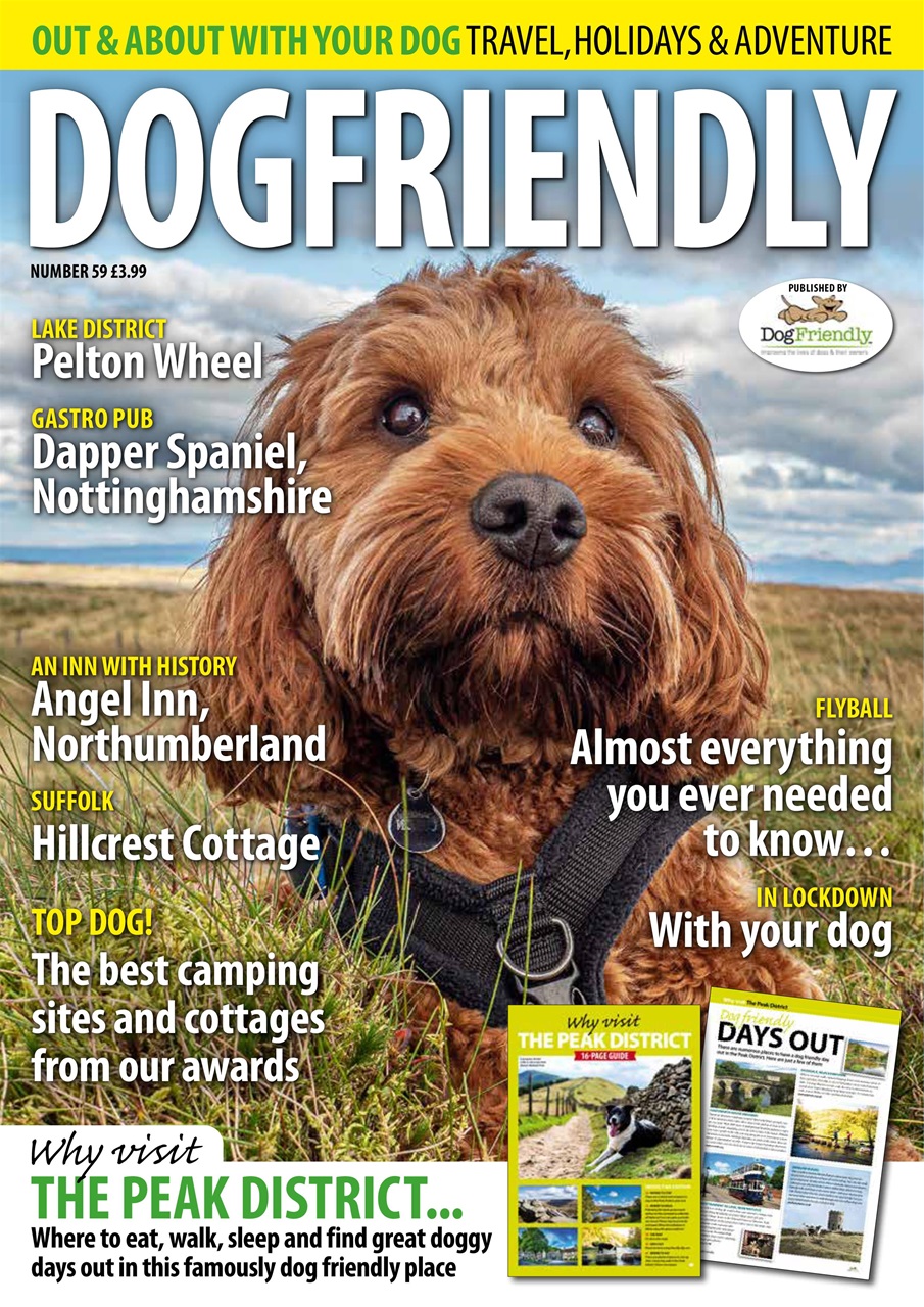 Dog Friendly Preview Pages