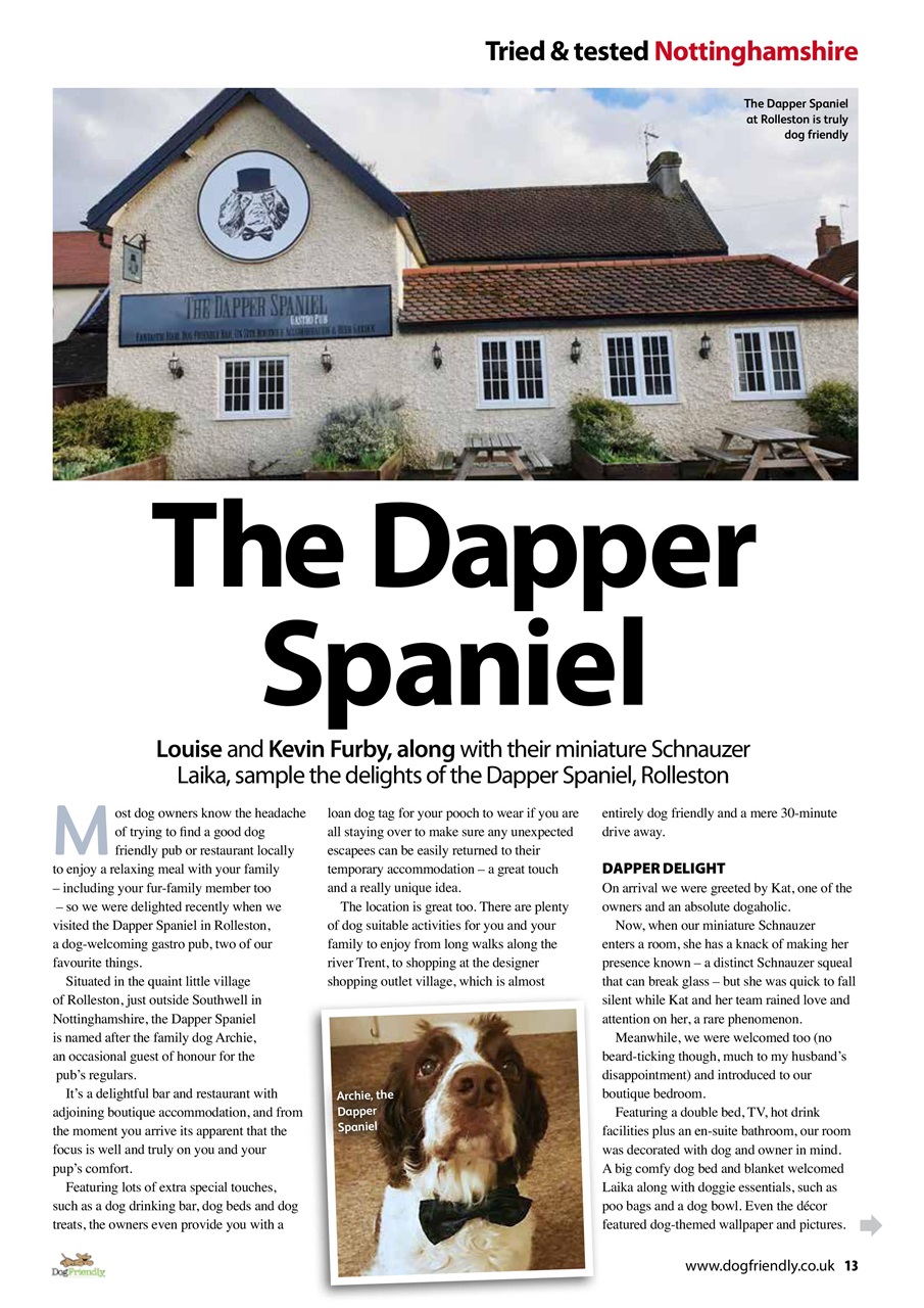 Dog Friendly Preview Pages