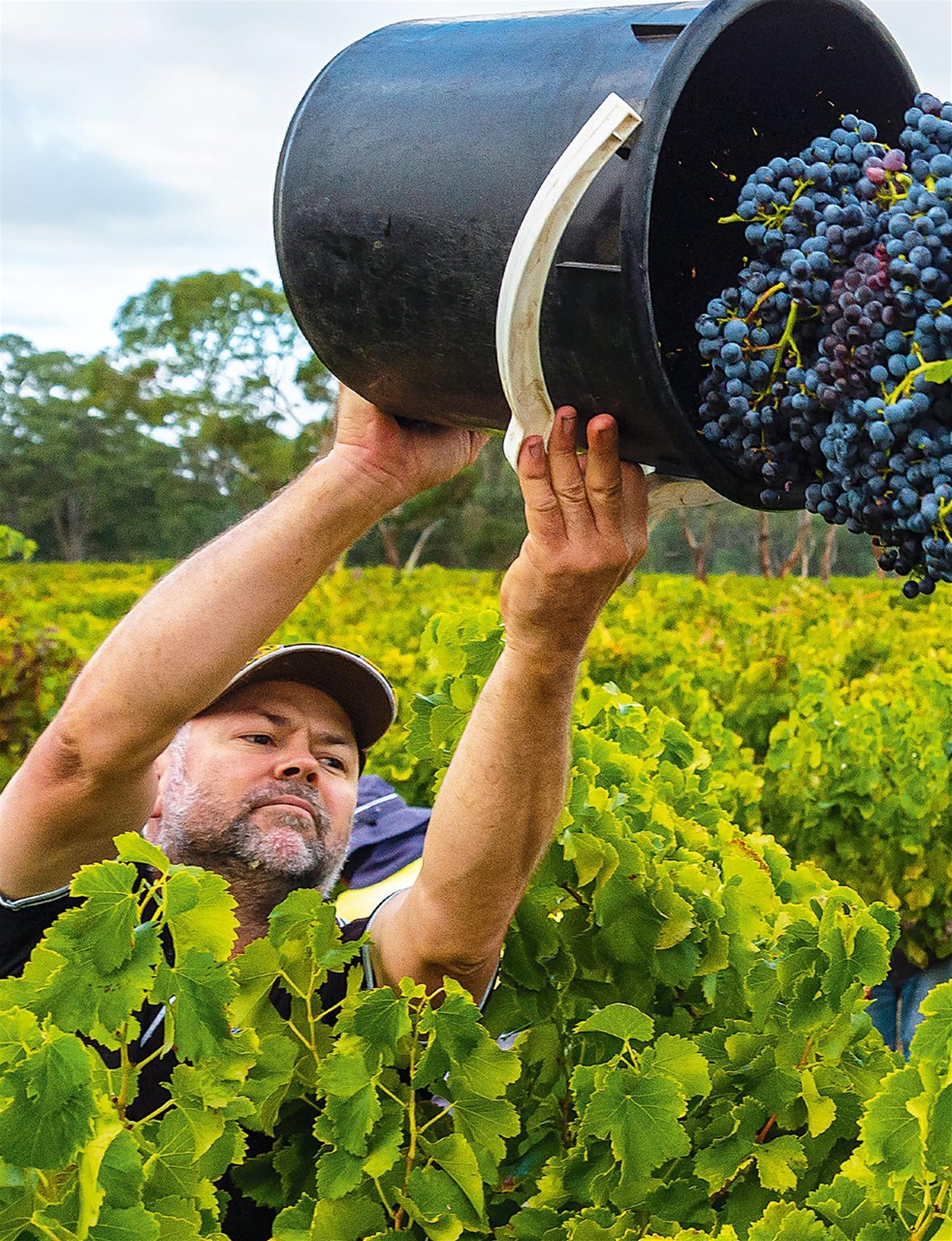 OUTBACK Magazine Preview Pages