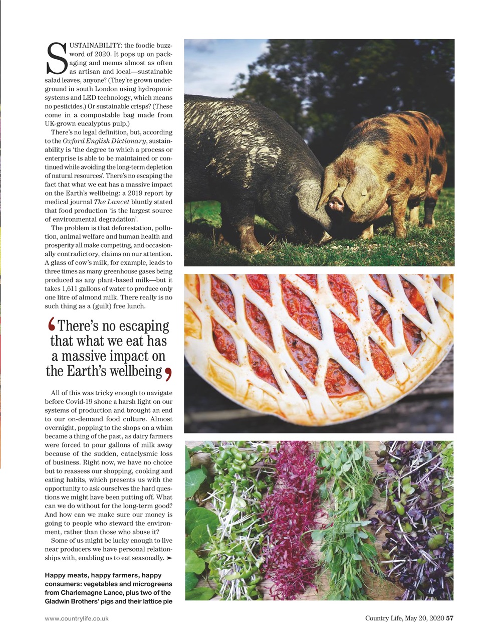 Country Life Preview Pages