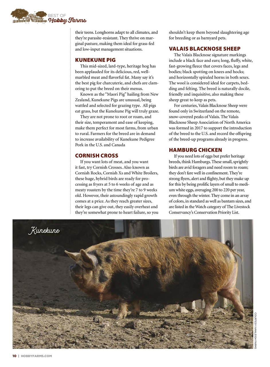 Hobby Farms Magazine Preview Pages