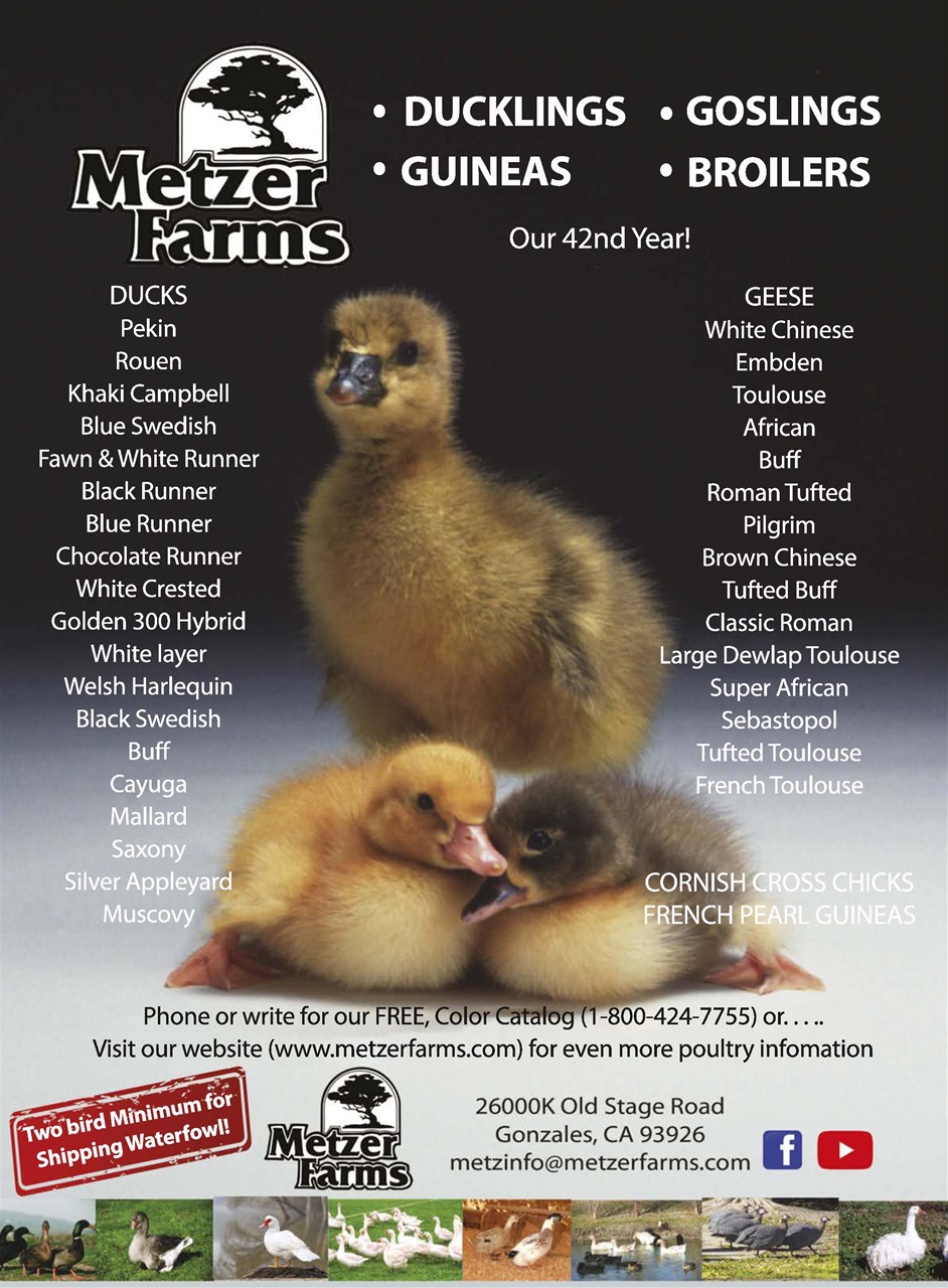 Hobby Farms Magazine Preview Pages