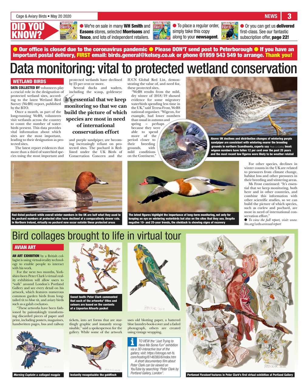 Cage & Aviary Birds Preview Pages