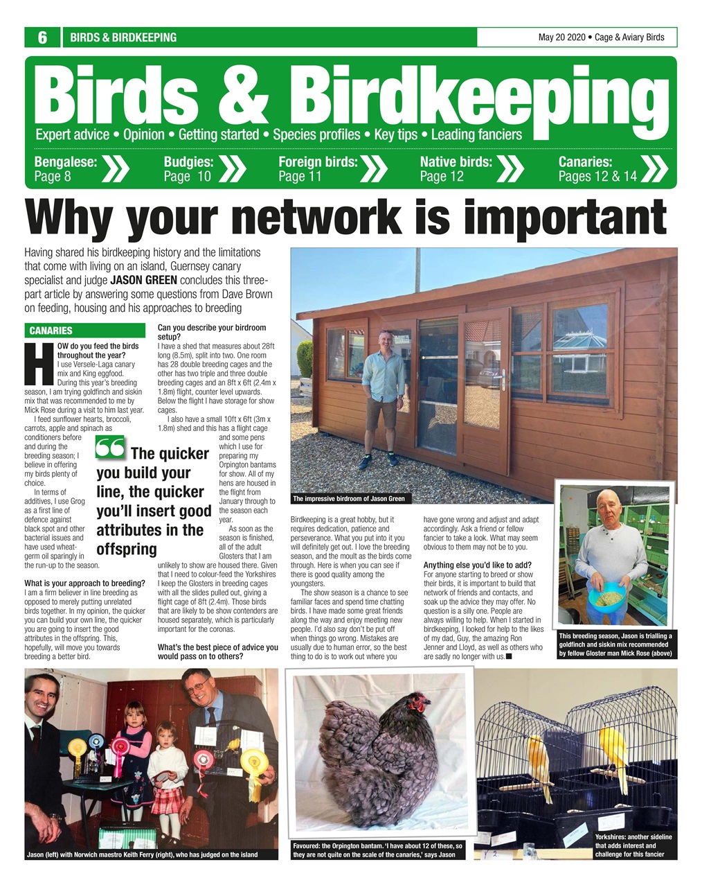 Cage & Aviary Birds Preview Pages