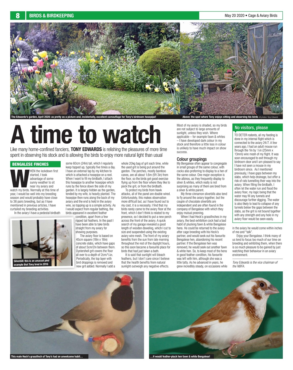 Cage & Aviary Birds Preview Pages