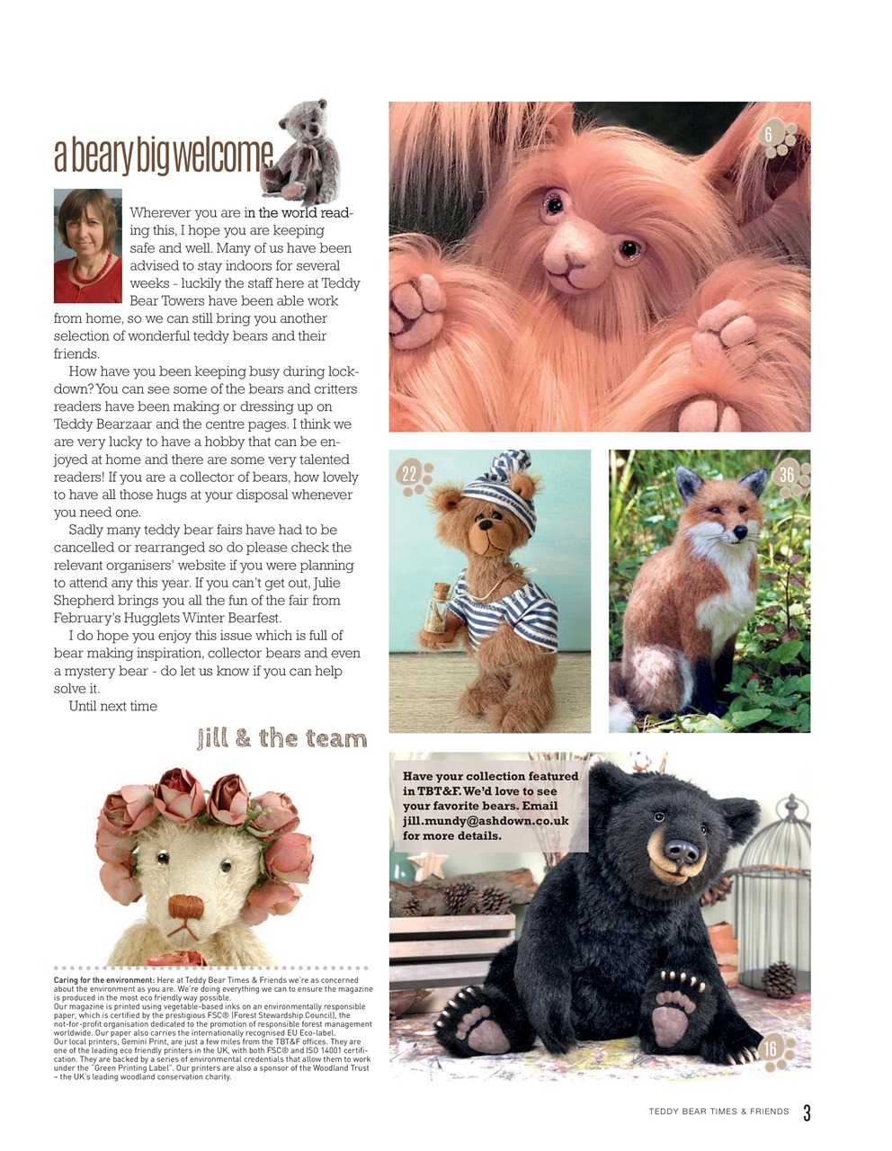 Teddy Bear Times Preview Pages