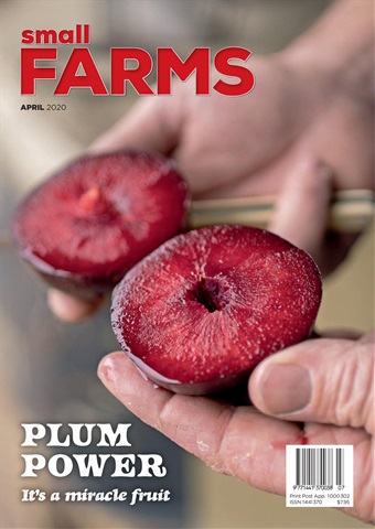 Small Farms issue April 2020