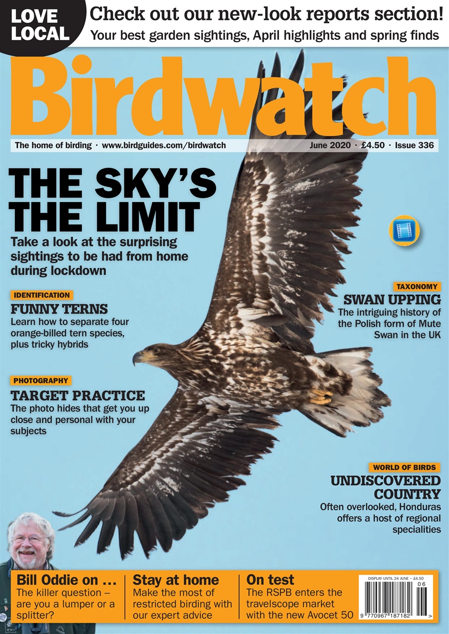Birdwatch Magazine Preview Pages