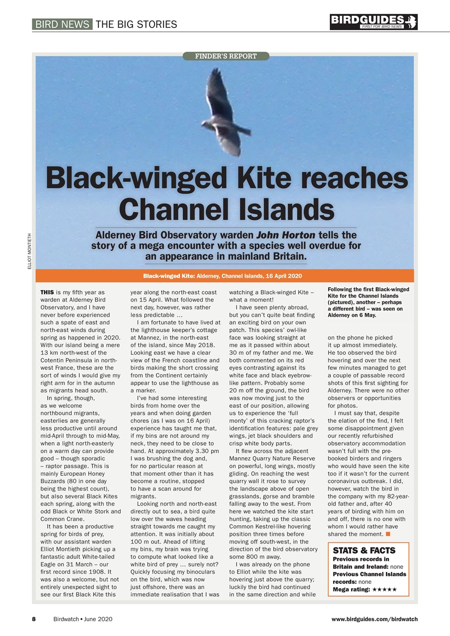 Birdwatch Magazine Preview Pages