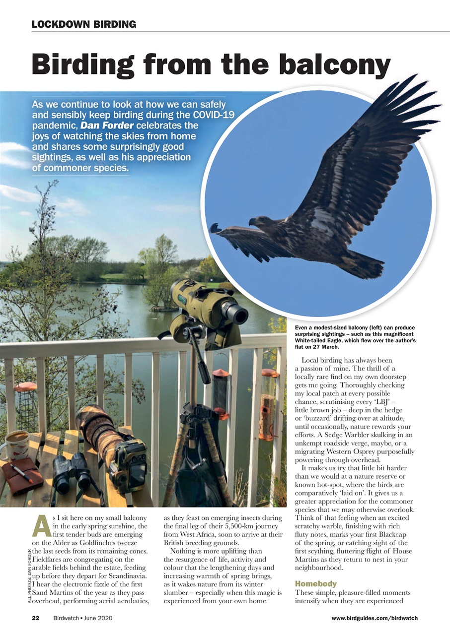Birdwatch Magazine Preview Pages