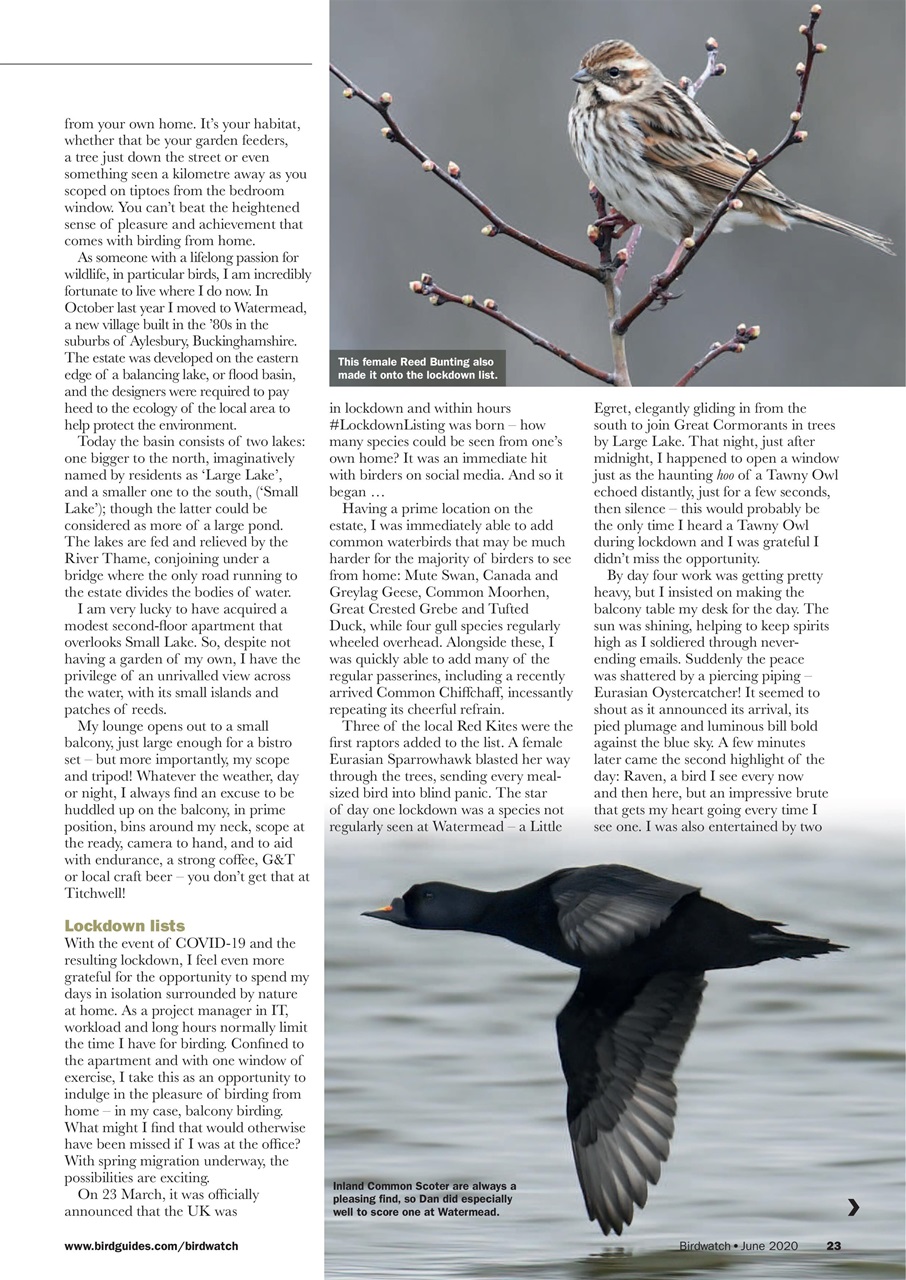 Birdwatch Magazine Preview Pages