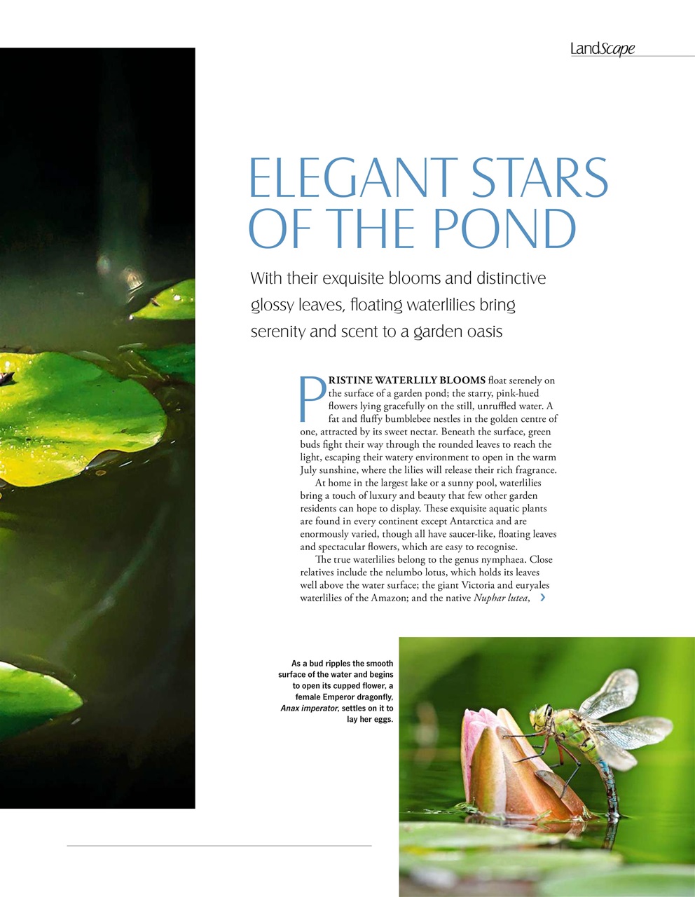 LandScape Preview Pages