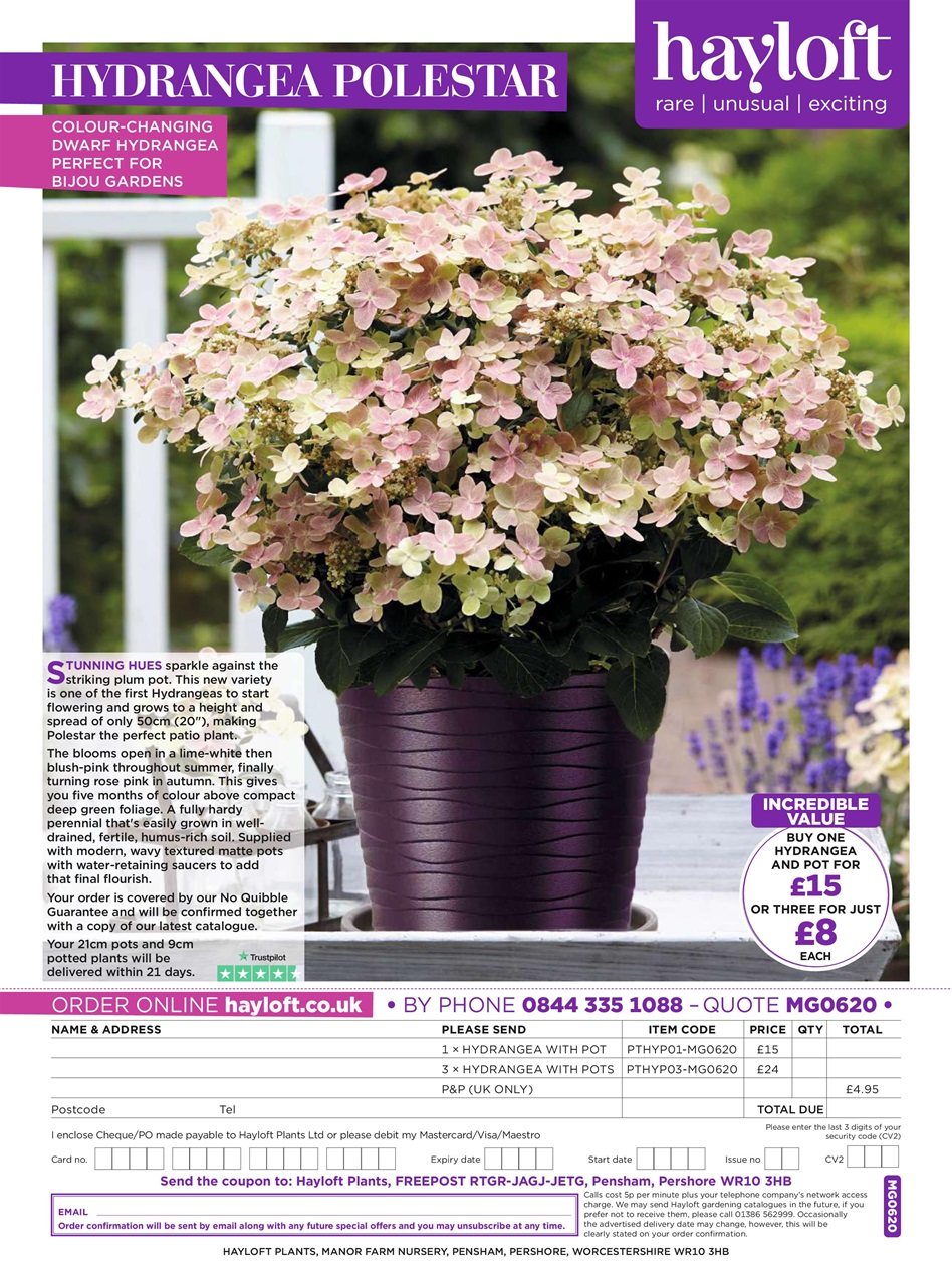 Modern Gardens Preview Pages